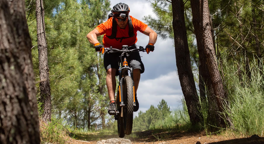 Aluguer de bicicletas / Tours guiados