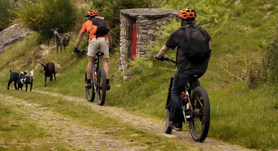 Aluguer de Bicicletas El�tricas